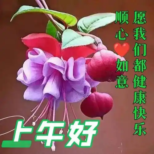 早上好图片带字带祝福语 2022唯美夏天早安问候祝福语图片文字精选