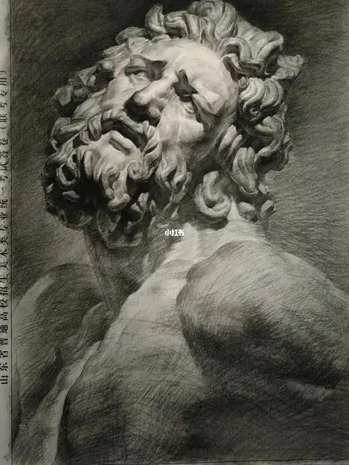 拉奥孔石膏像临摹