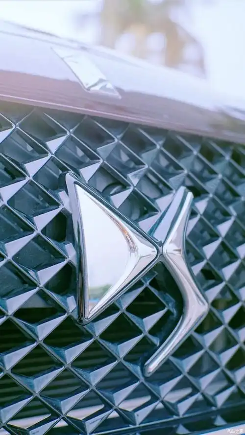 ds这个车的车标真的很好看,但是这个车到底怎么样啊