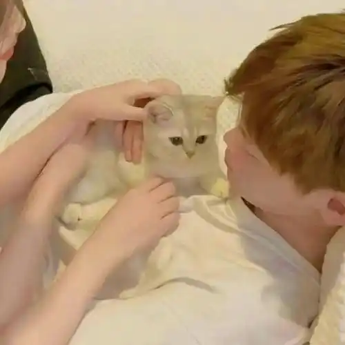 情侣头像丨优质仙气高级氛围感真人情侣头像_pink_信息_错误