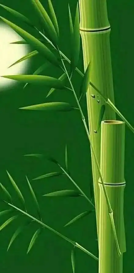 1,绿色屏保;3,青山绿水;4,清新美女.1,绿色屏保;2,唯美鲜花