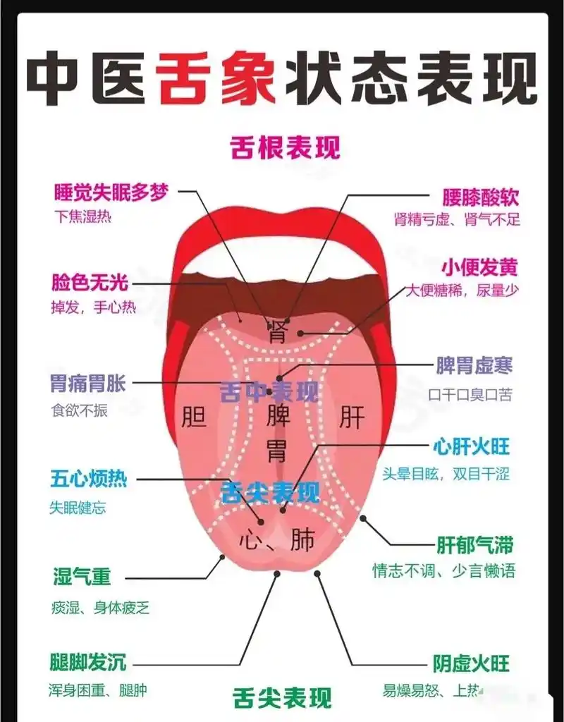 孩子地图舌.#舌诊 #脾胃 #咳嗽 #宝宝积食  孩子的#地 - 抖音