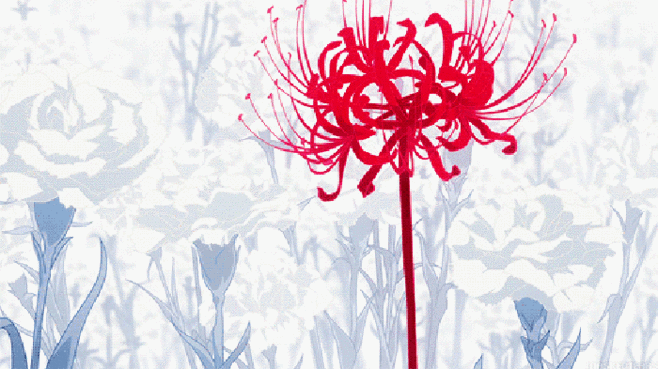 彼岸花曼珠沙华