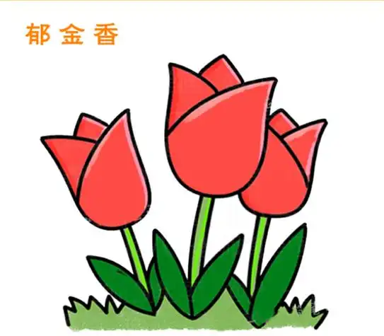 郁金香简笔画公主彩色小动物