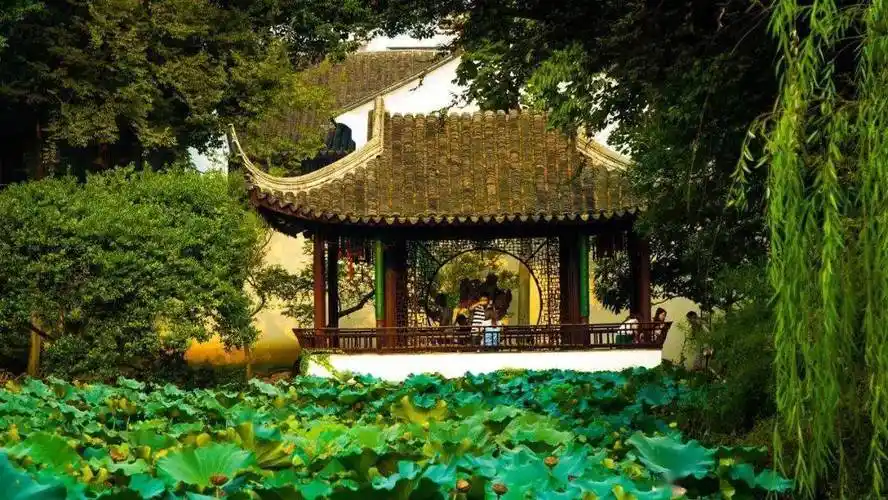 建筑之美丨带你云游一园一世界的苏州园林_苏州古典园林_部分_中国