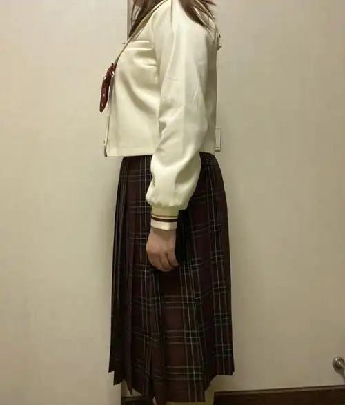 月野赤金燕子凤凰北水手服是微胖jk的倔强