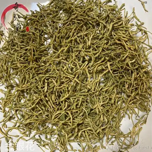 中药材金银花金银花的药用价值