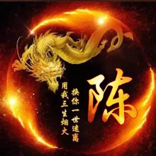 用我三生烟火,换你一世迷离,中国龙姓氏头像
