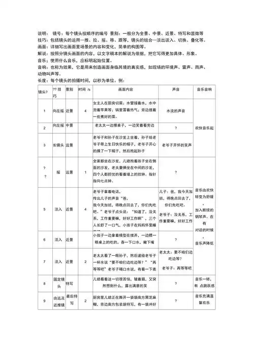 分镜头剧本参考格式
