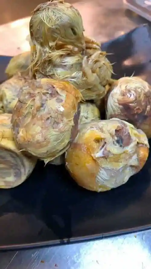 碳烤活珠子全程这是个好东西有没有想吃的