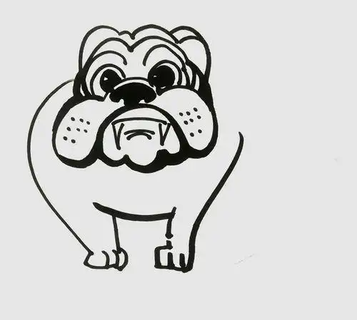 沙皮狗的简笔画卡通