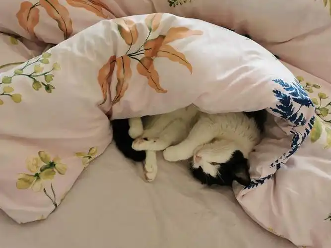 孩子学会盖被子了