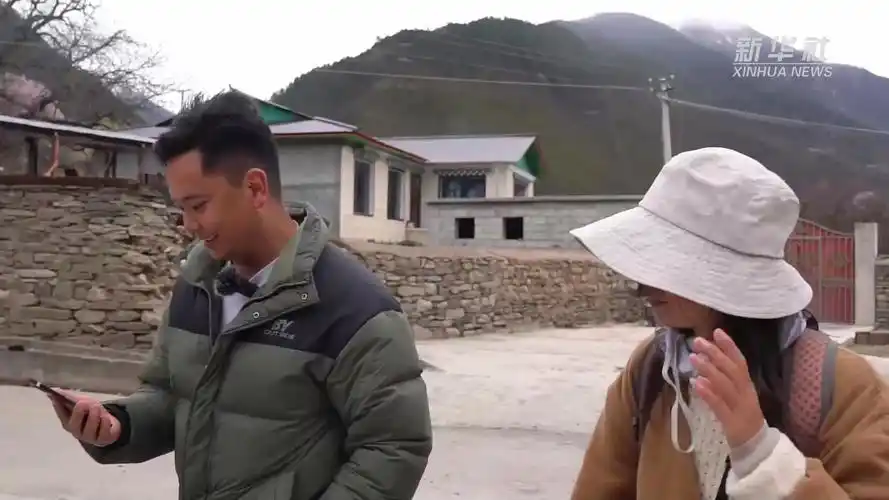 高原芳菲画春景——桃花谷里"桃花居"|民宿|波密_网易订阅