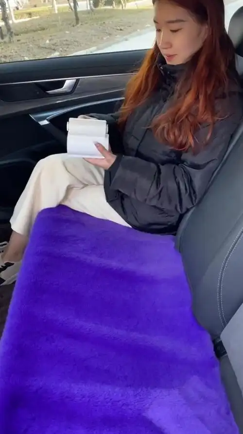 冬天有这样的垫子,女友坐车里,再也不冷了!