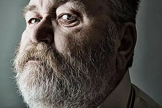 胖,老人,满,胡须,头像,德国,欧洲爷爷,孙子两个,高兴,老人,商务人士