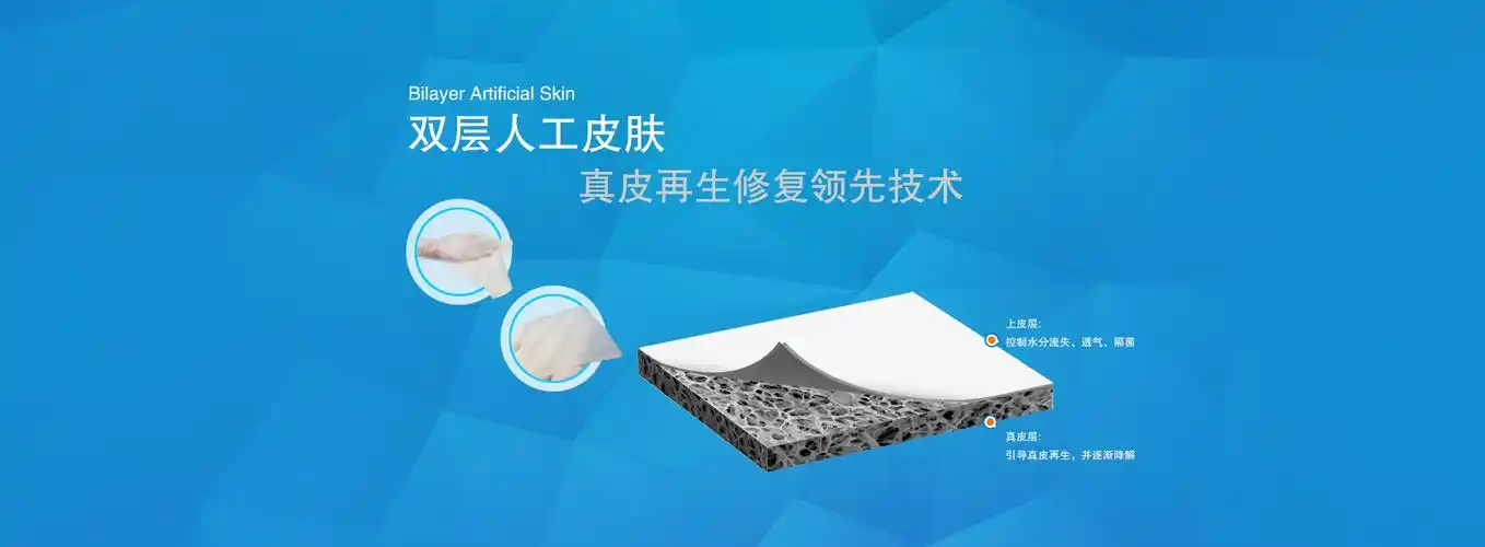 国内首创"兰度双层人工真皮"产品获cfda批准|信天系动态