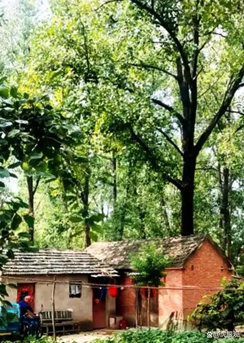 发现没有,现在在农村外围,出现很多独自居住的小屋,谁盖的呢?