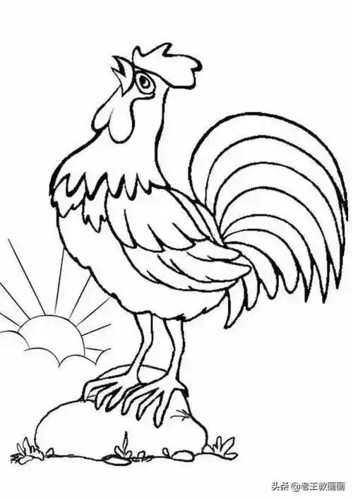 公鸡简笔画(小公鸡简单画法)