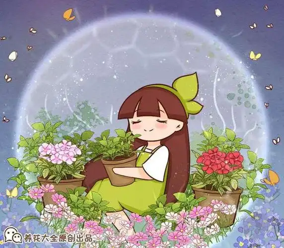 昙花|夜来香|紫茉莉|花朵|植物_网易订阅