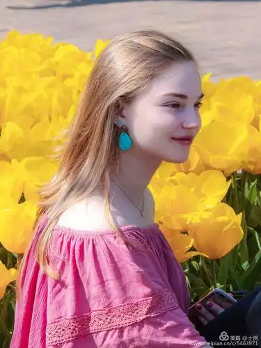 郁,金,香,字字充满无穷魅力—北欧自驾游荷兰郁金香篇