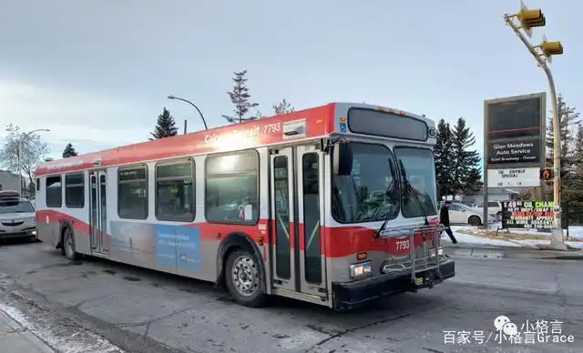 加拿大的公交系统是啥样的