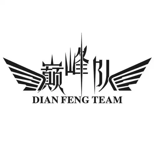 巅峰队 dian feng team