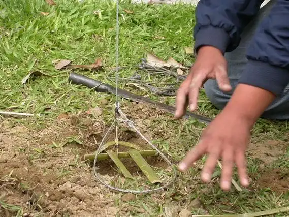 设捕猎陷阱和下套