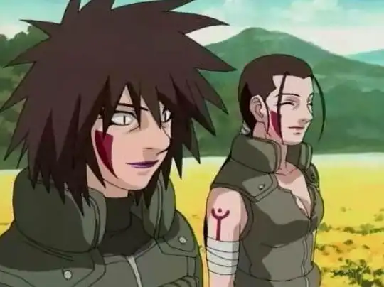 犬冢牙是我们熟悉的木叶十二小强之一,犬冢爪则是他的妈妈!