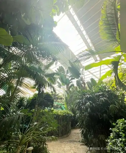 龙熙温泉,提前预定享受折扣!_龙熙温泉水世界攻略