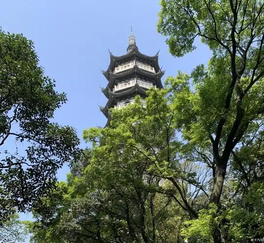 xc60用车日常招宝山景区遛娃