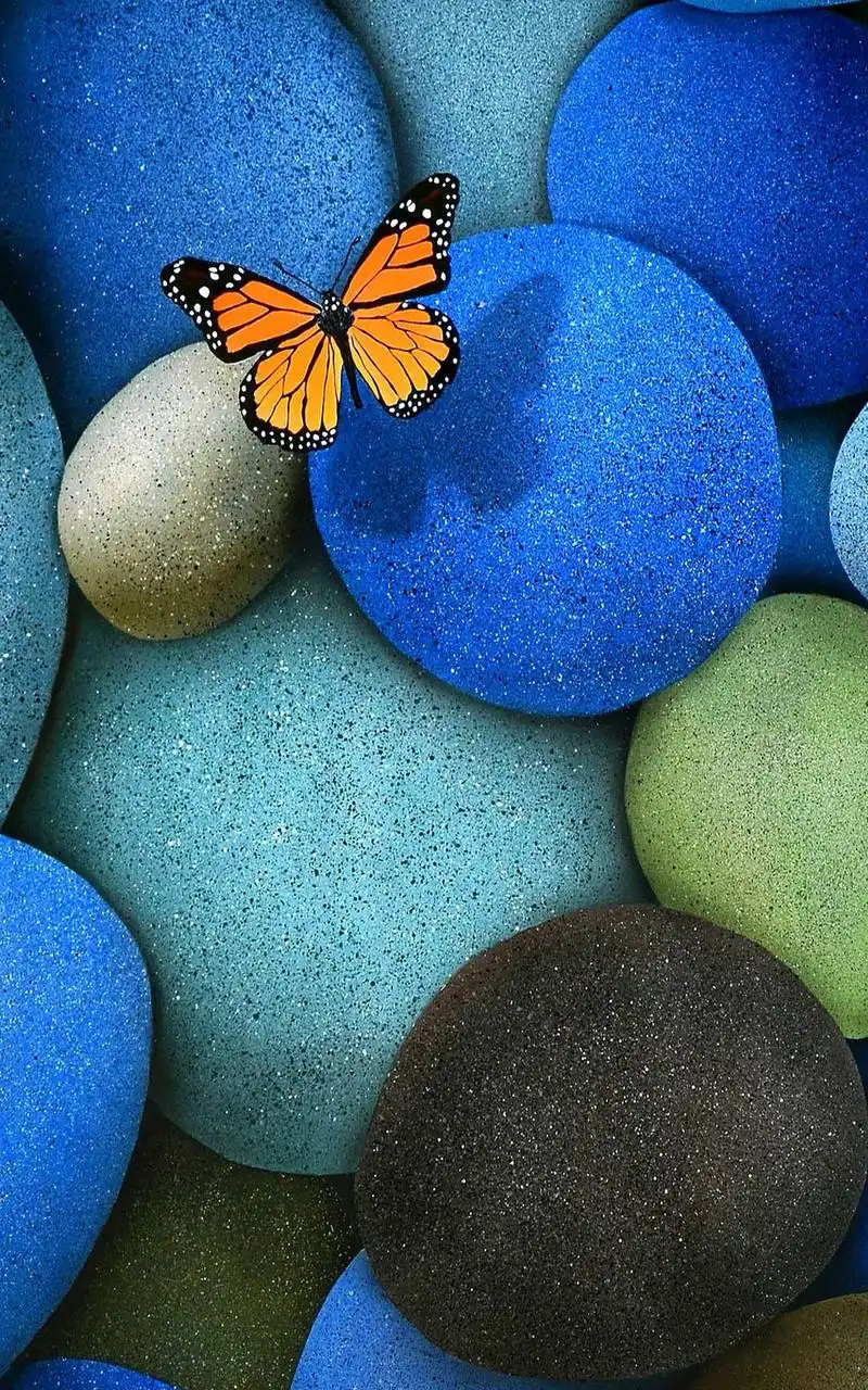 创意个性非主流步步高vivo手机壁纸下载第一辑