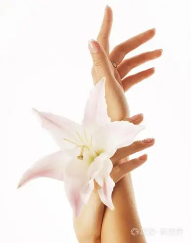 美与修指甲举行花百合双纤弱的手关闭孤立