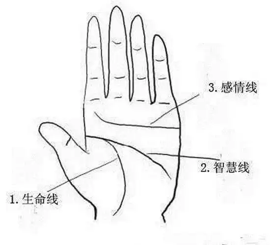 而且不能太长太弯,所以,适中的长度是最完美的左手智慧线 男人左手掌
