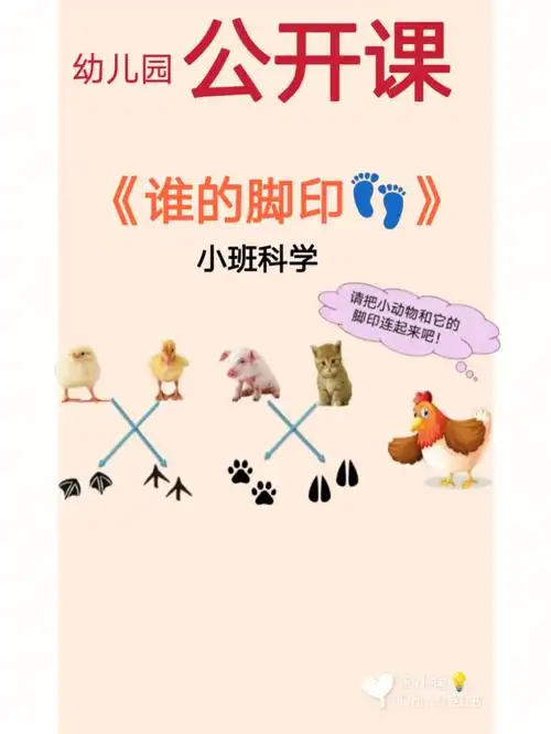 《谁的脚印93》97活动目标166认识四种小动物的脚印