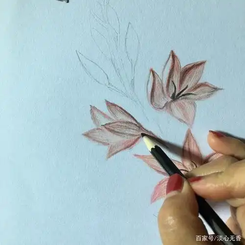 手绘写实作品之山桃草