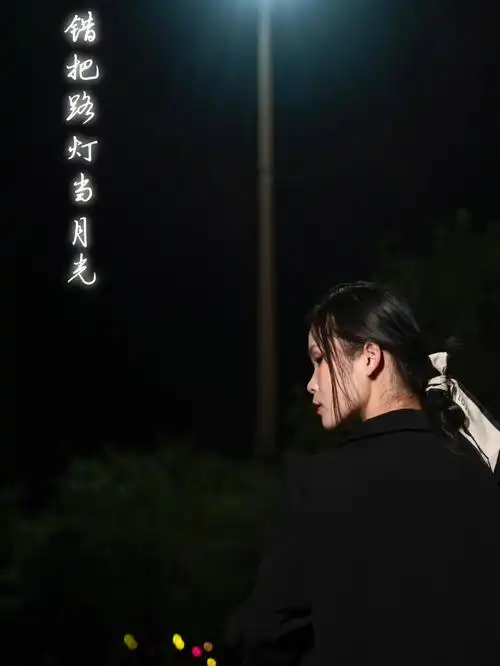 错把路灯当月光