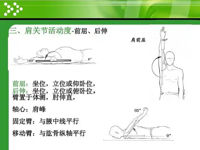 com 三,肩关节活动度-前屈,后伸 肩前屈 前屈:坐位,立位或仰卧位, 后
