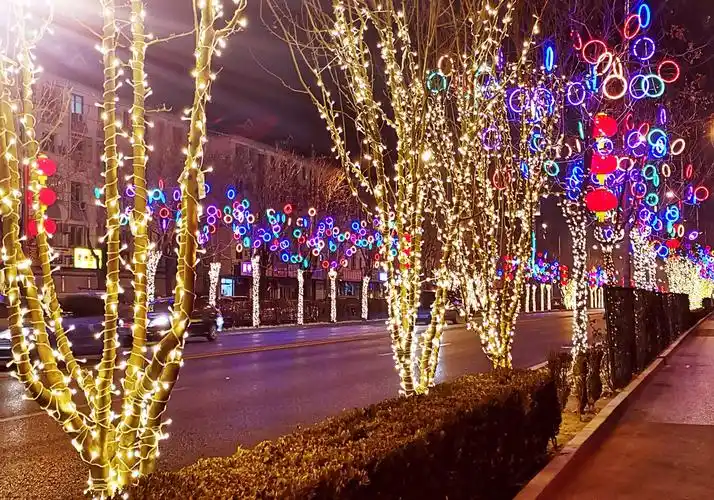 2019年春节街灯景观(春节征文)
