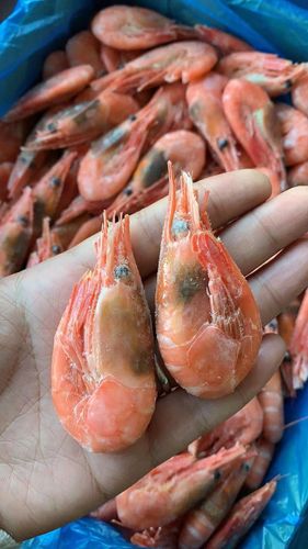 黑头头头北极虾甜虾刺身冰北极熊熟冻元宝甜虾冻虾