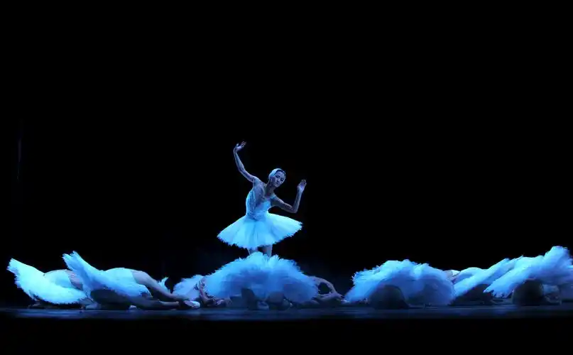 标题:芭蕾舞剧《天鹅湖》