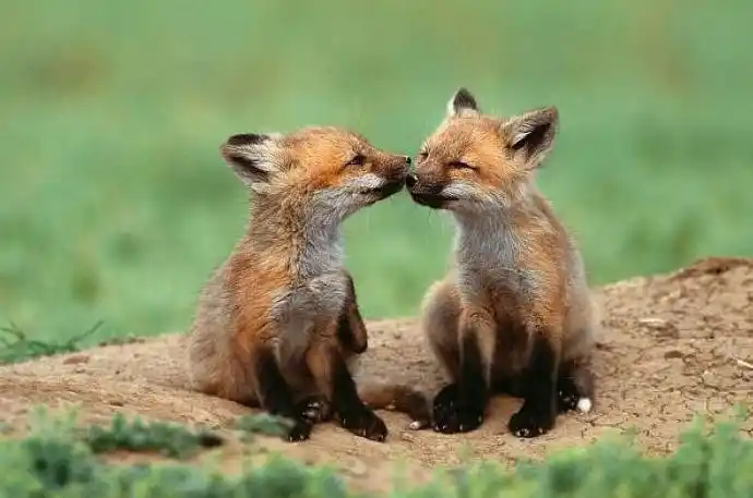 问候朋友 周末愉快 - 月亮弯弯 - 月亮弯弯的博客