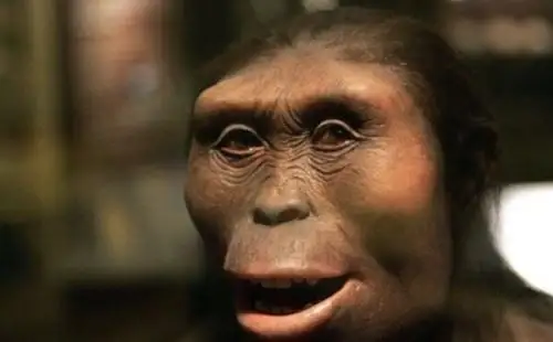 地球上第一个人是谁20岁的女猿人露西距今320万年