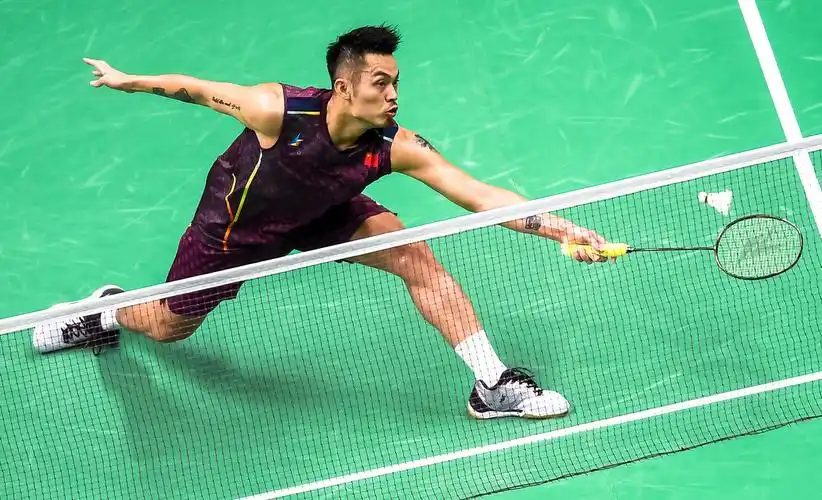 羽毛球丨世锦赛:林丹无缘八强