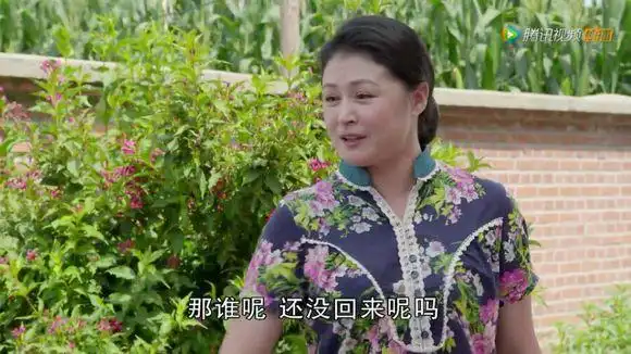 乡村爱情谢大脚经典台词