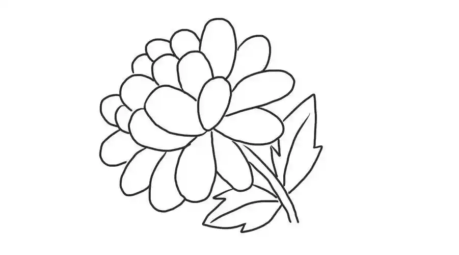 金盏菊幼儿亲子简笔画