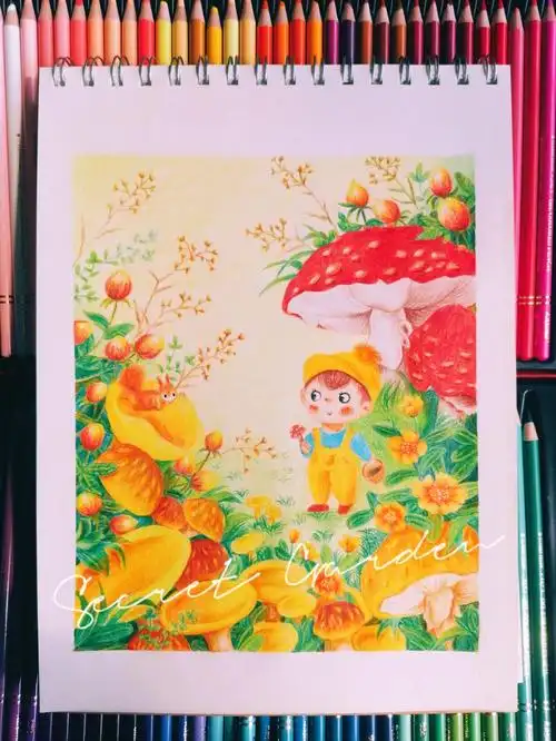 采蘑菇的饭团原创儿童插画彩铅森系插画
