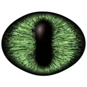 灯泡的眼睛图片