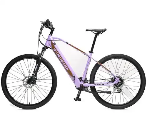 29" inch battery 36v battery bike fast speed e bike moter bike