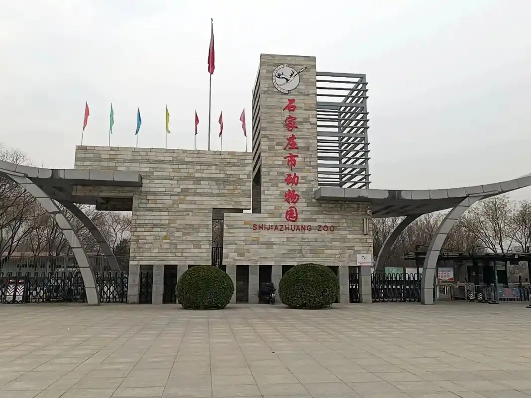 石家庄动物园.05猩猩动物没有拍上 06 建议你们去看看98 - 抖音