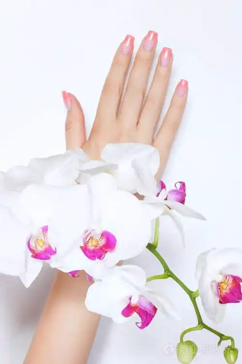 修甲漂亮的女性手